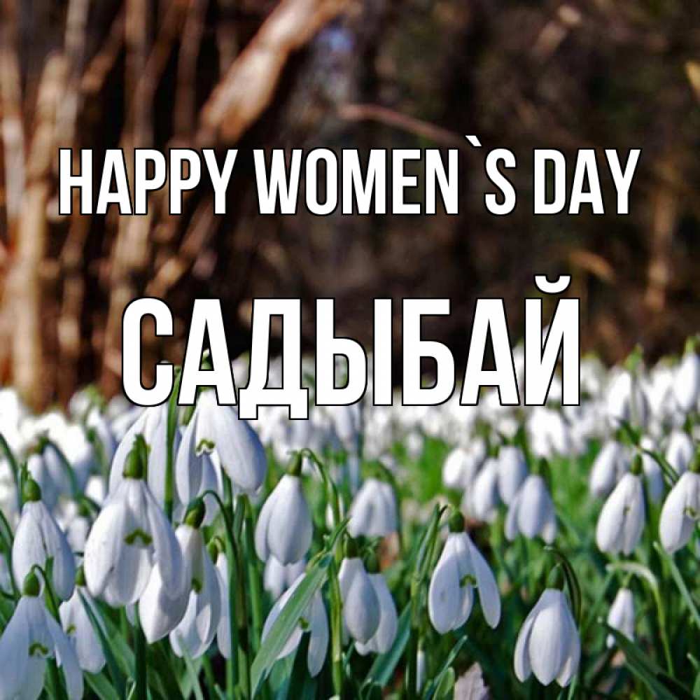 Greetings card с именем, САДЫБАЙ happy women`s day с подснежниками 1 Greetings with text for free download 